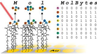 A New Storage Breakthrough Could Squeeze a Library's Worth of Data Into a Teaspoon of Protein